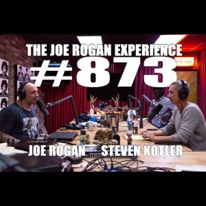 #873 - Steven Kotler