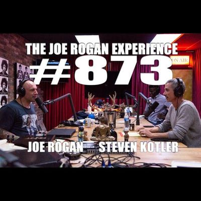 #873 - Steven Kotler