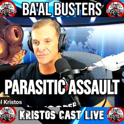 SFR 09 Habiru: Removing the Parasite