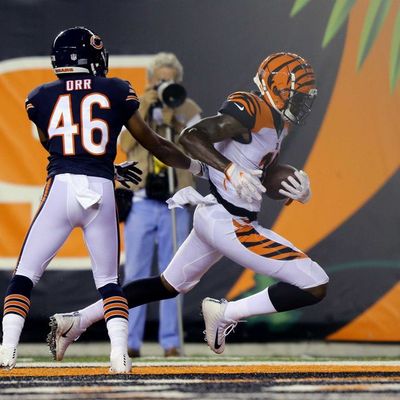 Locked on Bengals – 8/13/18 More from Thursday, plus I chat with Auden Tate and Billy Price