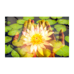 A SOULS JOURNEY & TRANSFORMATION