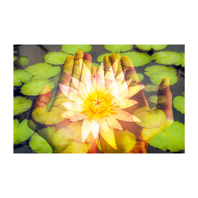 A SOULS JOURNEY & TRANSFORMATION