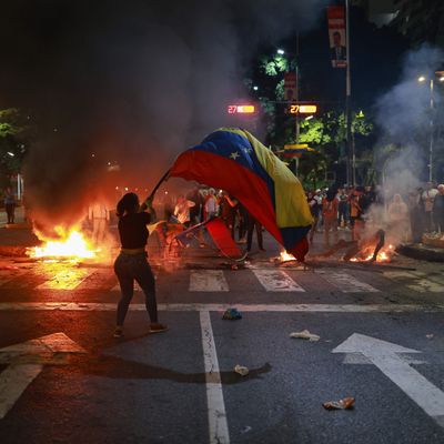 In a year of global elections, what did we learn about the state of democracy?