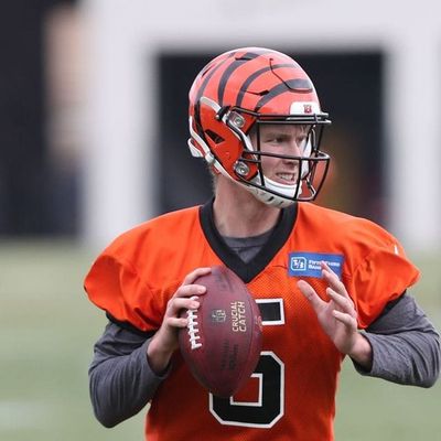 The Bengals are the last winless team in the NFL and lead the way for the #1 overall pick - 11/4/2019