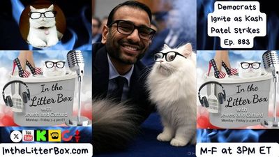 Democrats Ignite as Kash Patel Strikes | In the Litter Box w/ Jewels & Catturd – Ep. 883 9/17/2025
