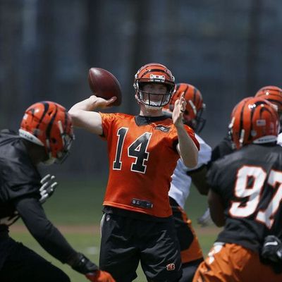 Locked on Bengals - 7/9/18 This will be the most interesting training camp I've covered