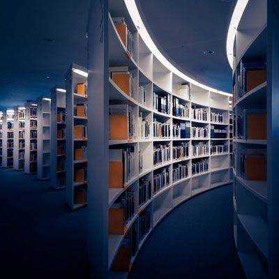 The American Library Association is Queering the Catalog