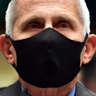 Fauci Fact-Checks Trump On Testing