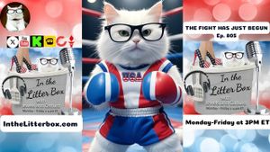 THE FIGHT HAS JUST BEGUN | In the Litter Box w/ Jewels & Catturd – Ep. 805 – 5/19/2025