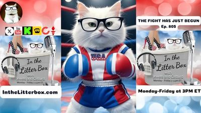THE FIGHT HAS JUST BEGUN | In the Litter Box w/ Jewels & Catturd – Ep. 805 – 5/19/2025
