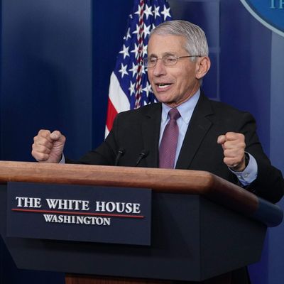 Coronavirus Not Going Away Before Next Fall, Fauci Says