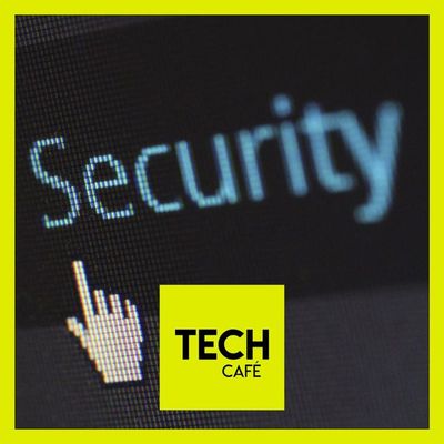 Actus d’été et bonnes pratiques sur le web