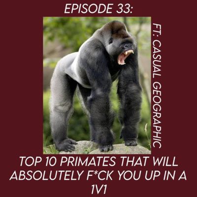Episode 33 - Top 10 Primates That Will Absolutely F*ck You Up in a 1v1 Ft. Casual Geographic