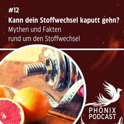 Kann dein Stoffwechsel kaputt gehen? Mythen und Fakten rund um den Stoffwechsel #12