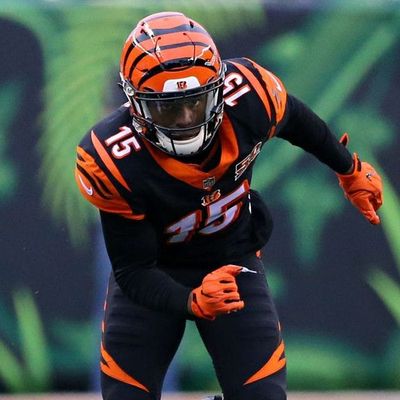 Locked on Bengals - 12/6/17 Reaction to Ross being placed on injured reserve and our weekly film review