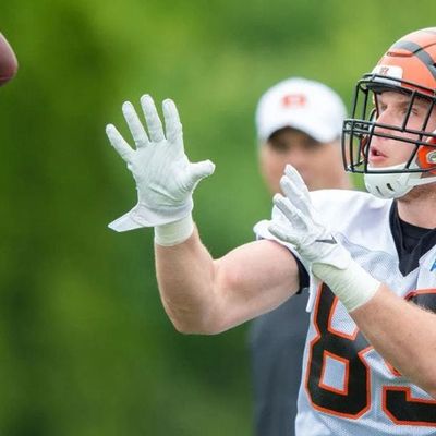 Locked On Bengals - 5/22/2019 OTA Review with Kat Terrell