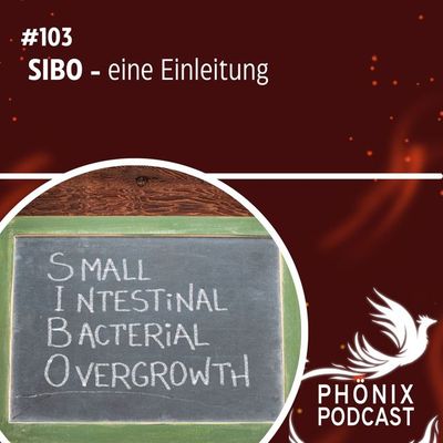 SIBO - eine Einleitung #103