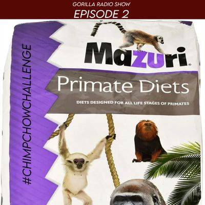 Episode 2 - #ChimpChowChallenge