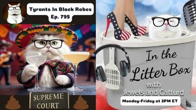 Tyrants In Black Robes | In the Litter Box w/ Jewels & Catturd – Ep. 795 – 5/5/2025