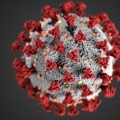 Coronavirus Life: Will Things Be the Same Again?