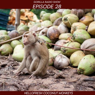 Episode 28 - HelloFresh Coconut Monkeys