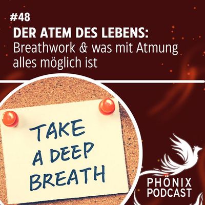 DER ATEM DES LEBENS: Breathwork & was mit Atmung alles möglich ist #48