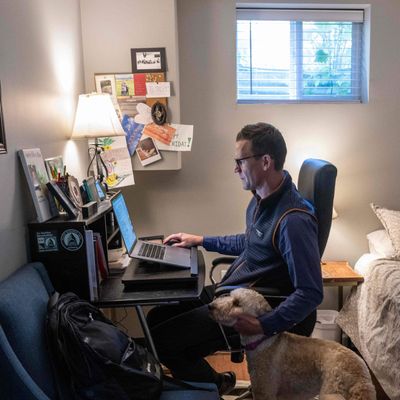 What Is The Future Of Remote Work?