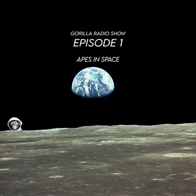 Episode 1 - Apes in Space