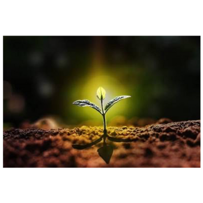The inner Joy of Growth