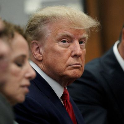 Trump, The Defendant