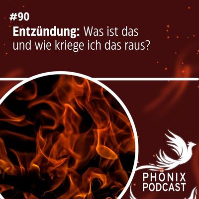 Entzündung: Was ist das und wie kriege ich das raus? #90