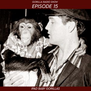 Episode 15 - iPad Baby Gorillas