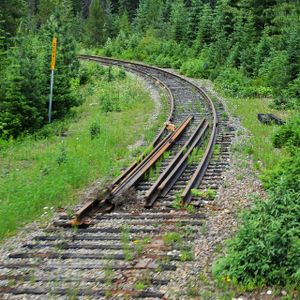 Absolute Zero and the Western Holodomor