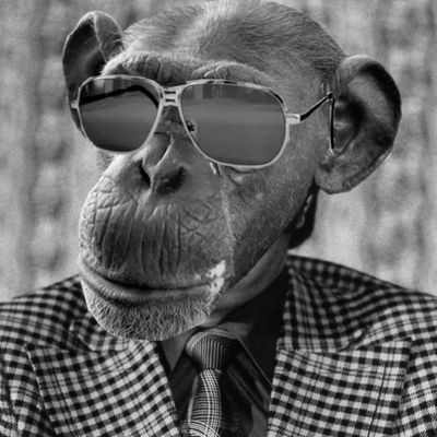 Episode 55 - Jim Jones, Monkey Salesman