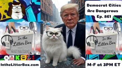 Democrat Cities Are Dangerous | In the Litter Box w/ Jewels & Catturd – Ep. 861 – 8/12/2025