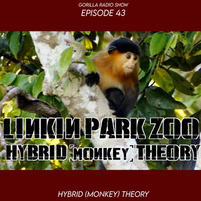 Episode 43 - Hybrid (Monkey) Theory