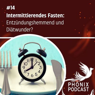 Intermittierendes Fasten: Entzündungshemmend und Diätwunder? #14