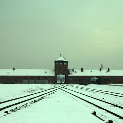 The Nazi Experiment, Vol. 4: Nazi Worldview, Nazi Organization