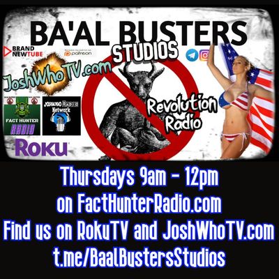 My Roku TV Channel Baal Busters is Free