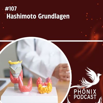 Hashimoto Grundlagen #107