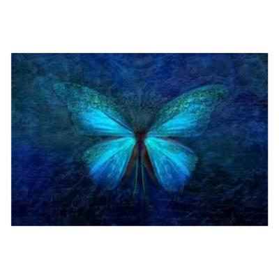 Prayers for Healing ❤️🩹 ~ Rejuvination