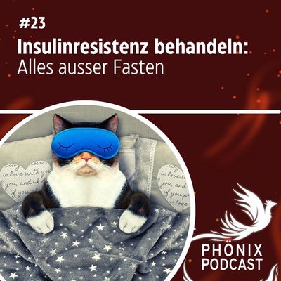 Insulinresistenz behandeln: Alles ausser Fasten #23