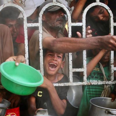 What reporting in Gaza shows amid Trump's break from Netanyahu on starvation