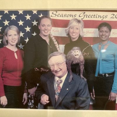 Interview with Seattle's Monkey Dentist