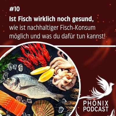 Ist Fisch wirklich noch gesund und wie ist nachhaltiger Fisch Konsum möglich? #10