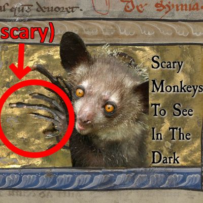 Episode 44 - Scary Monkeys to See in the Dark Ft. Cryptotheism