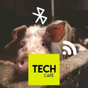 Neuralink : 1ère démo publique