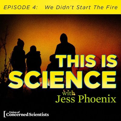 We Didn't Start The Fire (But We Know Who Did)
