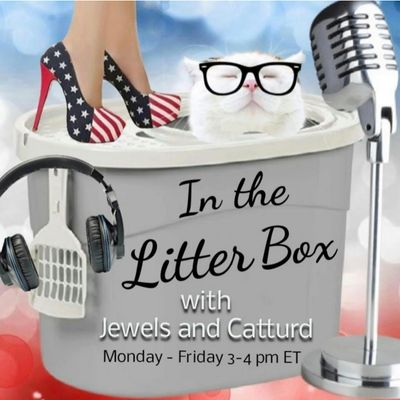 Pedo Rican - In the Litter Box w/ Jewels & Catturd 10/4/2022 - Ep. 181