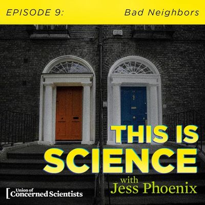 Something Strange In Your Neighborhood